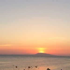 Meet your Posher, Cherry lynn